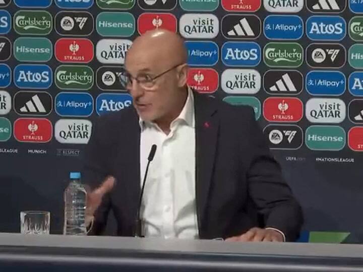 Declaraciones Luis de la Fuente