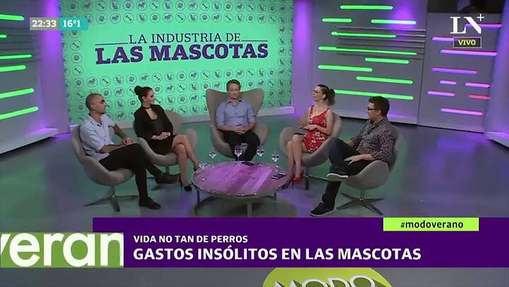 Vida no tan de perros: gastos insólitos que hacemos en nuestras mascotas