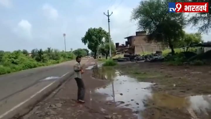 India: cuervos lo atacan desde hace tres años porque creen que mató a una de sus crías