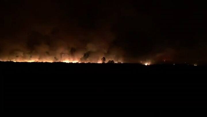 Combaten 15 focos de incendio en Mendoza - Crédito: Guillermo Ferraris