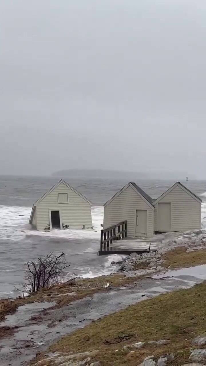 Ssstwitter.com 1705330619029