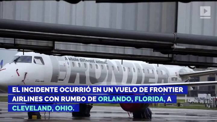 Una mujer es removida de un avión por tener 'ardilla de apoyo emocional' - Fuente: Reuters