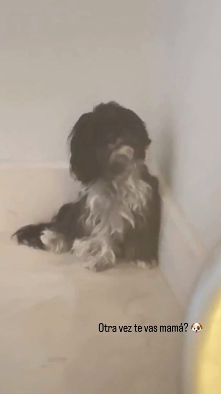 Evangelina Anderson mostró el nuevo deporte que practica y revolucionó las redes