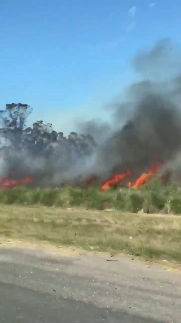 Villa Gesell: Fuerte incendio en la Ruta 11, kilómetro 407