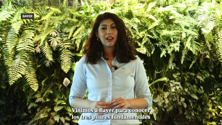 Web Bayer Especialsoja V4