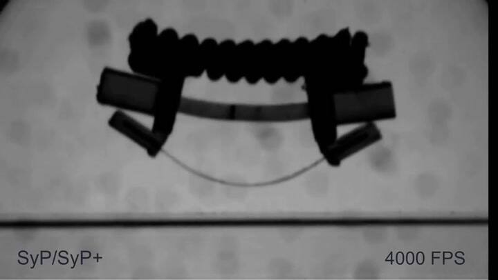 Crearon robots que imitan a escarabajos saltarines