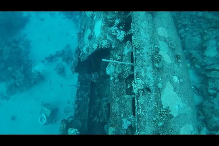 Bucear en barcos hundidos a 40 metros de profundidad (Gentileza Opus Buceo)