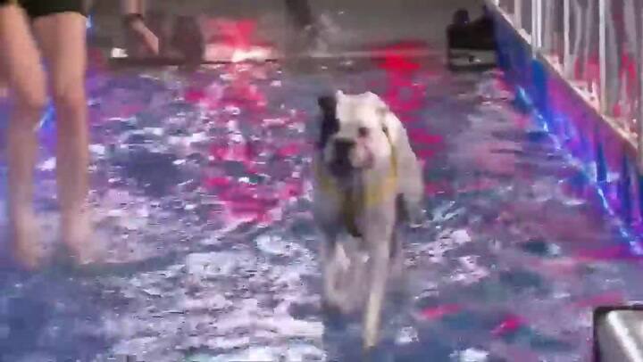 El enojo de Barby Franco después de una caída en el programa de Guido Kaczka