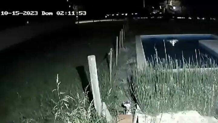 Robo pileta Cañuelas