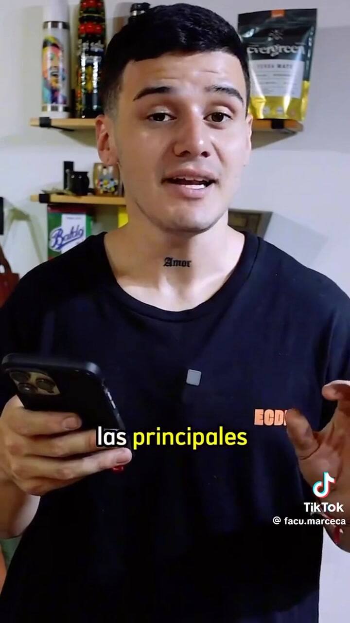 Beneficios de la menta en el mate