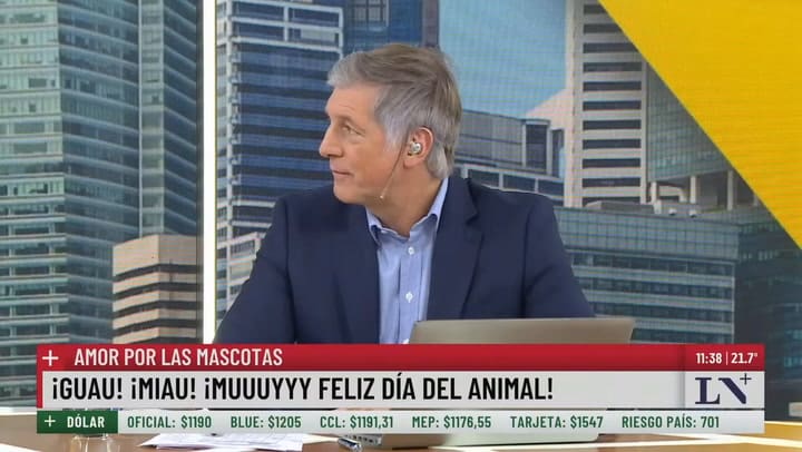 29 de abril: hoy se celebra el día del animal