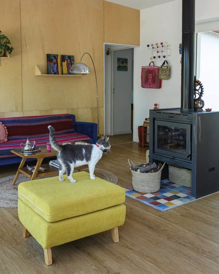 La mascota de Anabella