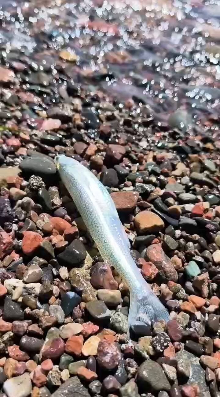 Contaminación de agua en San Juan