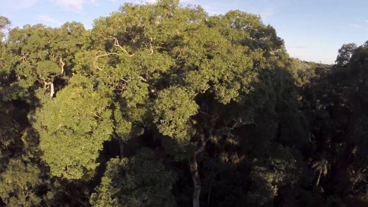 video de presentación del billete de 500 pesos