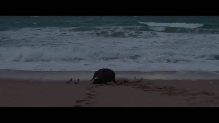 Trailer de Quién te cantará - Fuente: YouTube