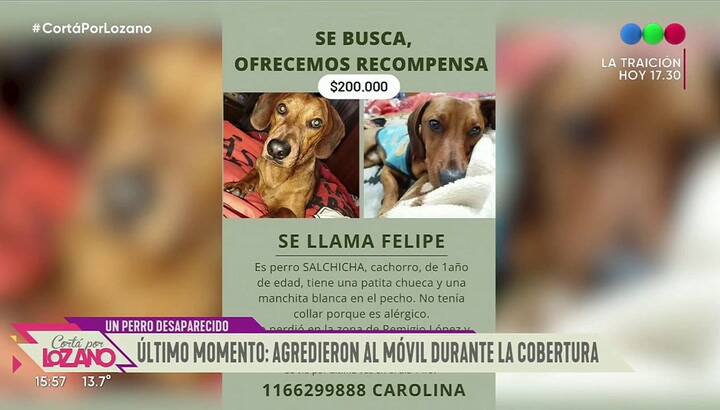 gredieron a un camarógrafo y atropellaron a otra persona mientras escapaban