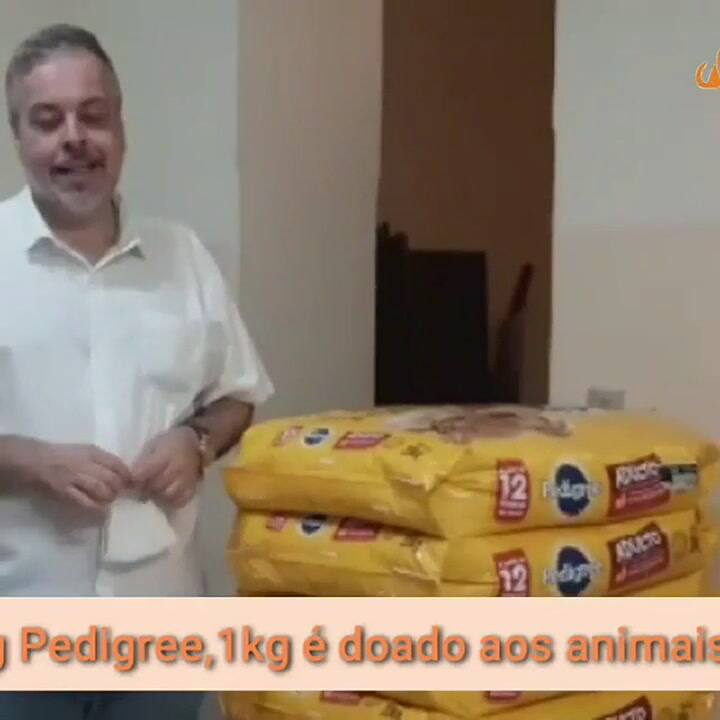 Un sacerdote da misa con perros abandonados para que sean adoptados