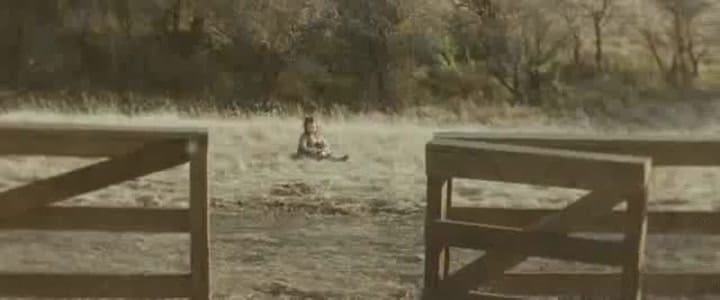 The Assassination Of Jesse Jame