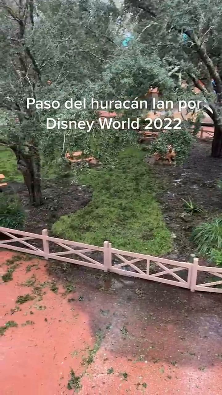 Cómo es el paso del huracán Ian en un hotel de Disney