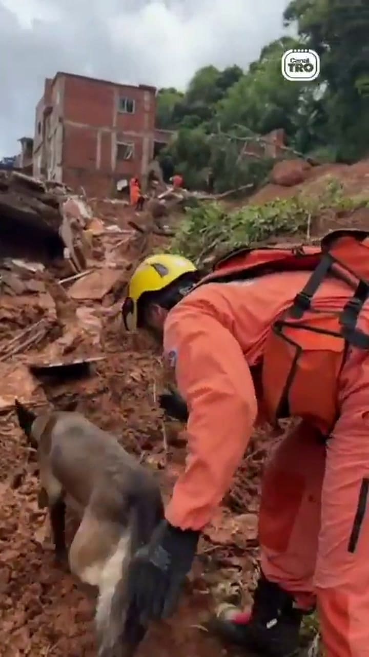 Nuevas víctimas fueron encontradas en diferentes barrios de la ciudad, entre ellos Paineiras, Esplanada y Vila Ideal