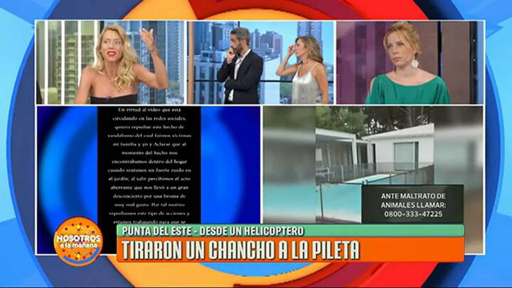 Nicole enojada por el cordero - Fuente: eltrece