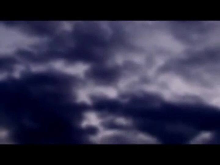 Pez - 'Para las almas sensibles'