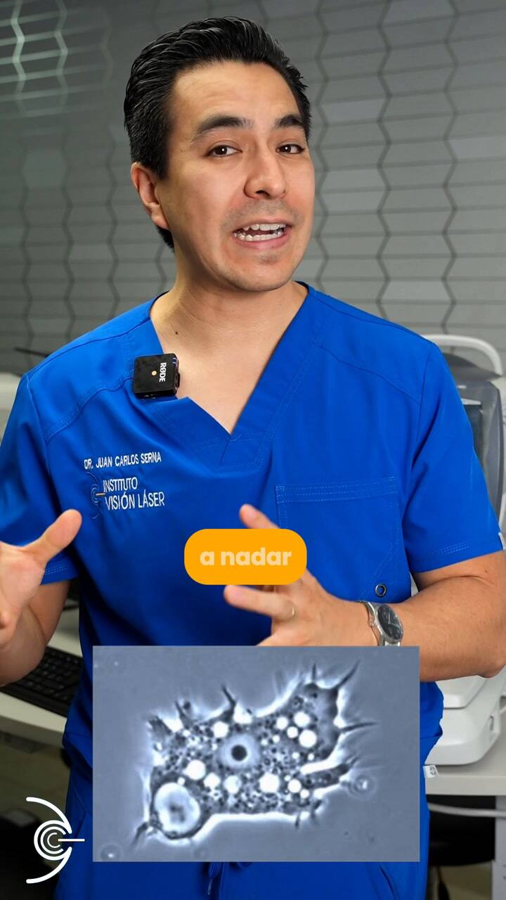 Qué es la queratitis por acanthamoeba