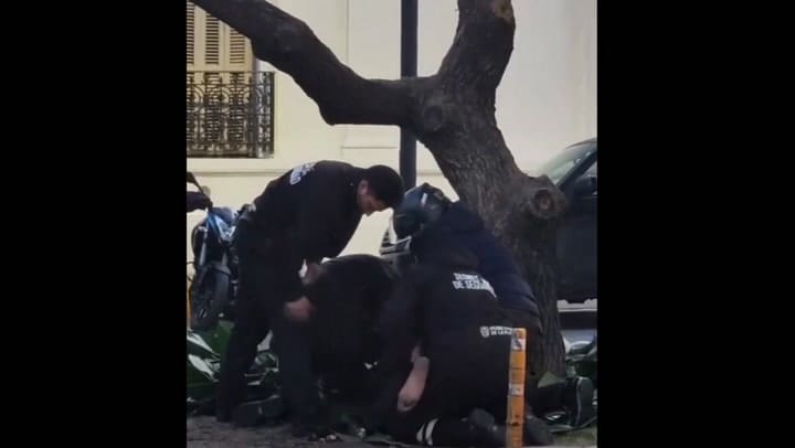 La Plata: se subió a un árbol en pleno centro de la ciudad y agredió a los peatones con ramas