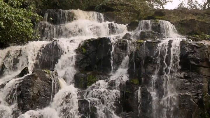 "Trama y desenlace": la inmersión artística de Andres Paredes