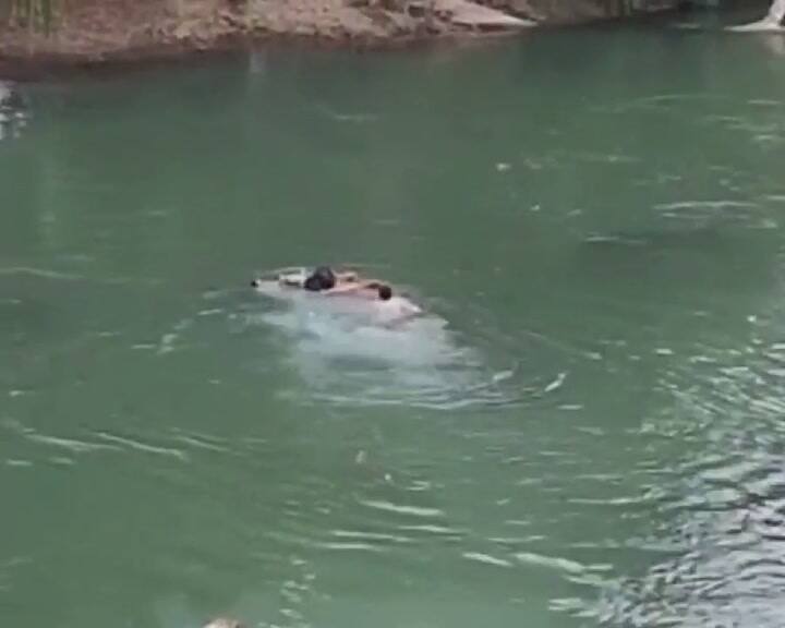 Un camión cayó al río en Neuquén y la gente se tiró al agua para quedarse con paquetes de encomienda