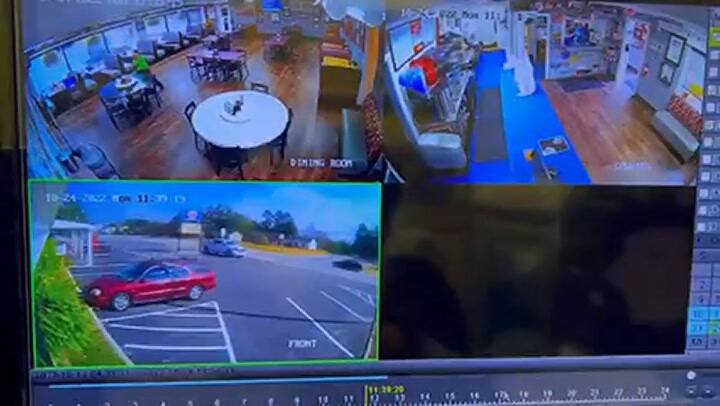 Un ciervo apareció en un restaurante de los Estados Unidos