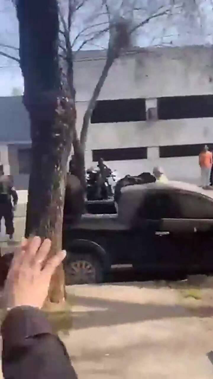 Rosario: un pitbull mordió a varios vecinos y un policía lo baleó para detenerlo