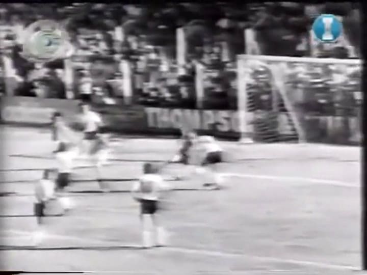 Ubaldo Matildo Fillol: el mejor arquero argentino