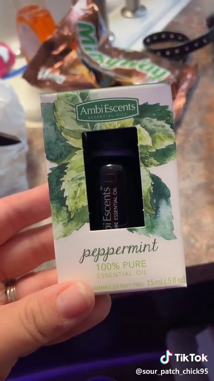 Truco casero de Tiktok para mantener a las arañas alejadas de nuestro hogar