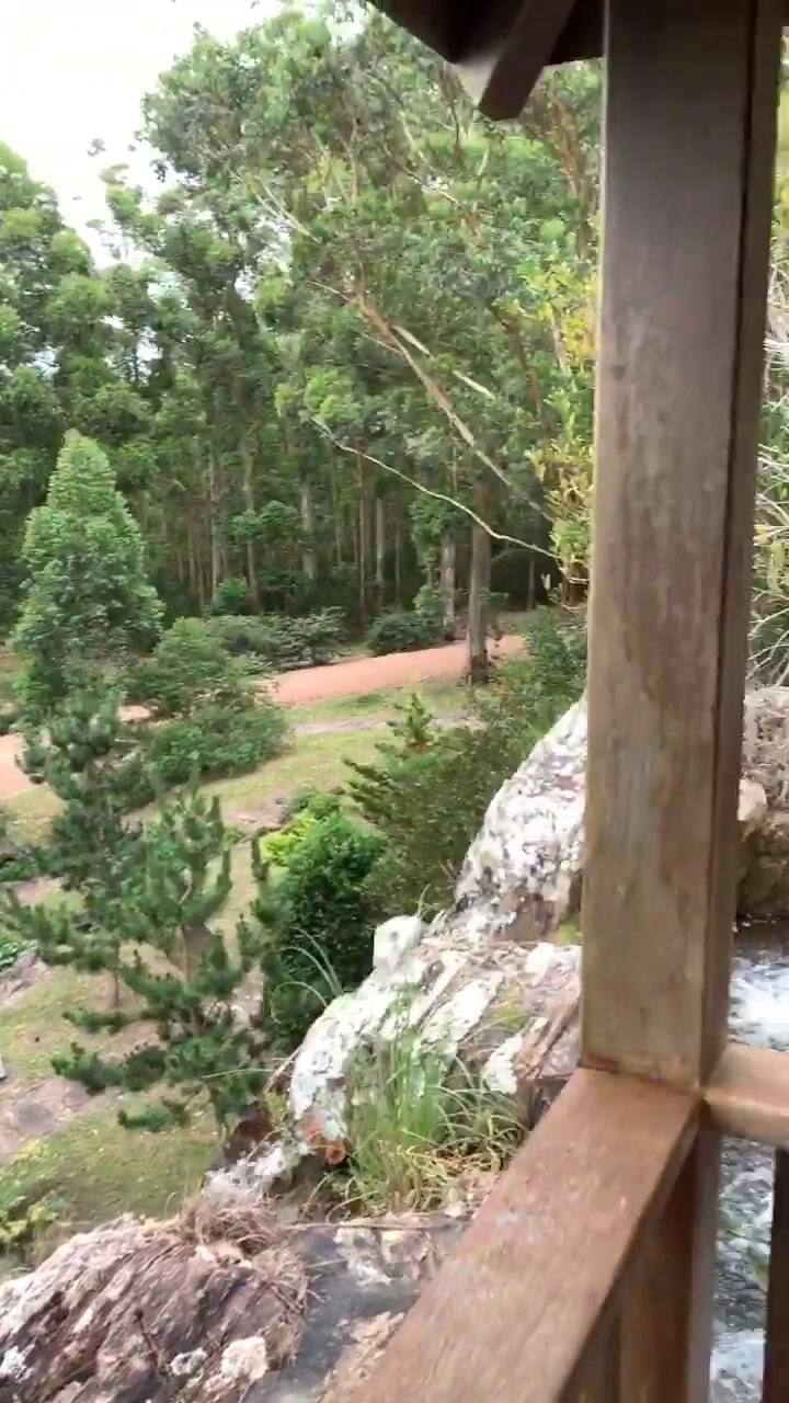 Arquitectura Paisajista - Mi Jardín japonés