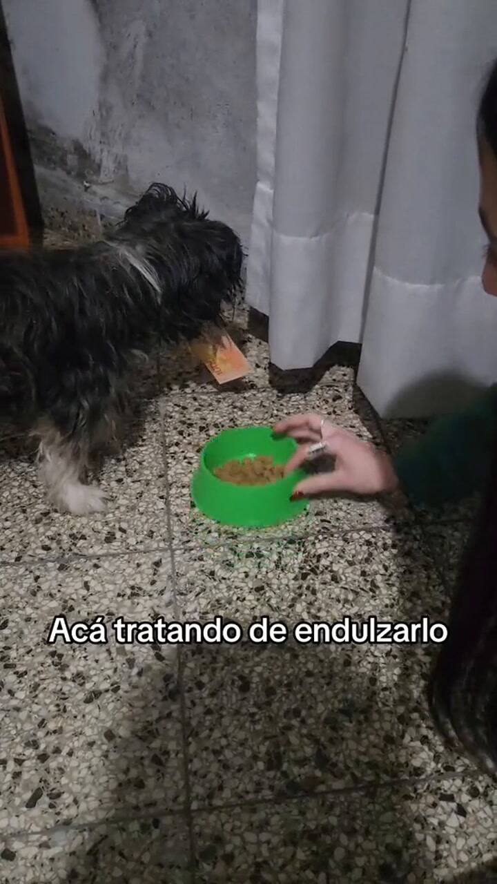 Ssstik.io @Aldanazara 1720555307150