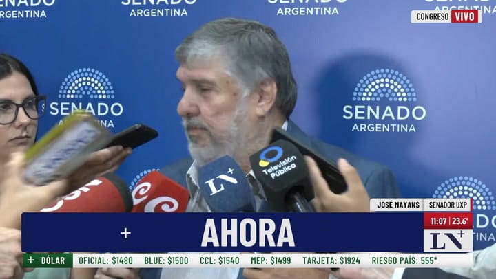 Jose Mayans: "Lo de Bullrich es una accion de atropello"