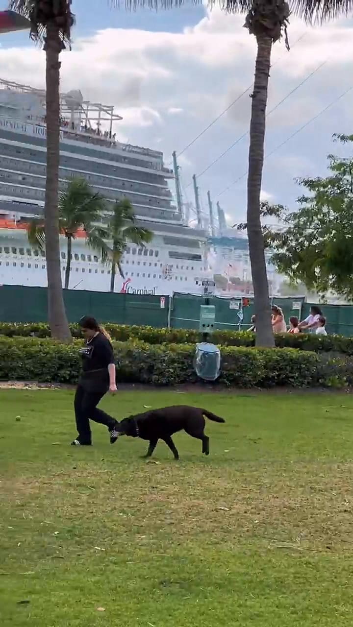 Tiktoker muestra el mejor lugar de Miami para deleitarse con espectaculares atardeceres