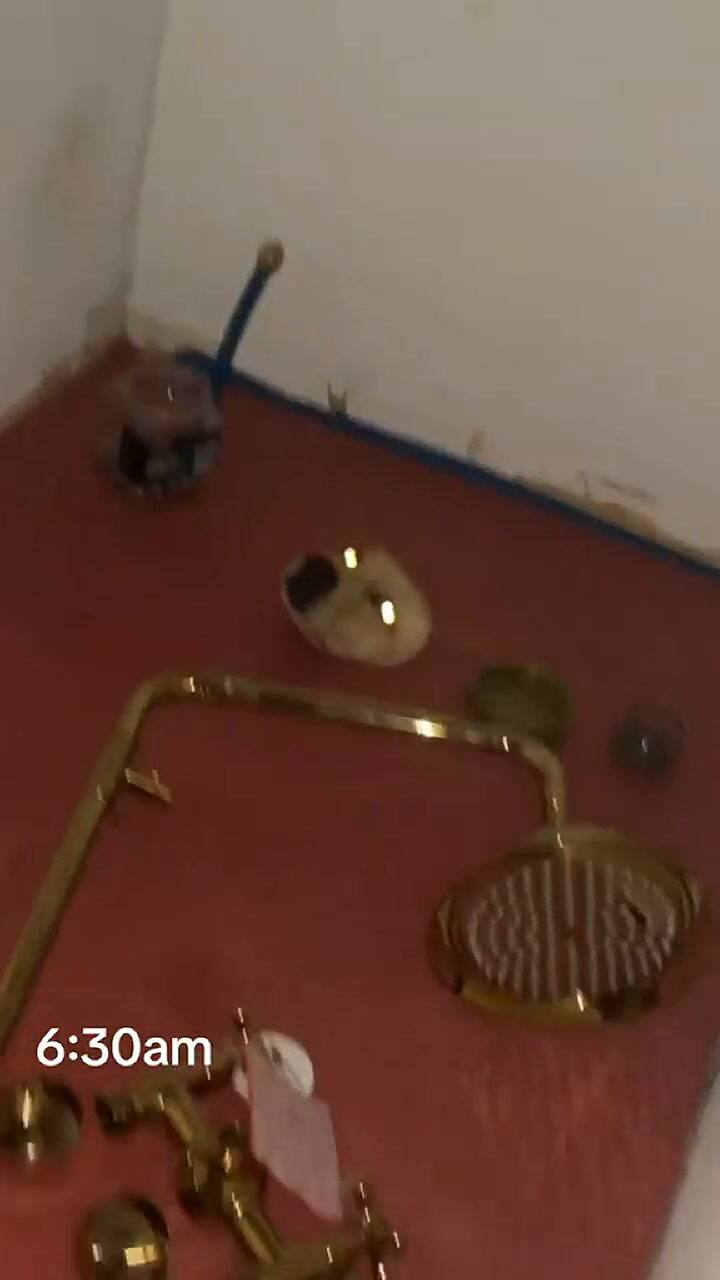 Una usuaria de TikTok se encontró un perro escondido en su hogar