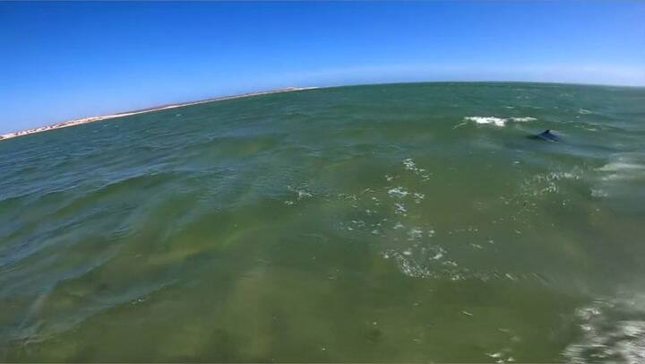 Ssstik.io 1712687108880