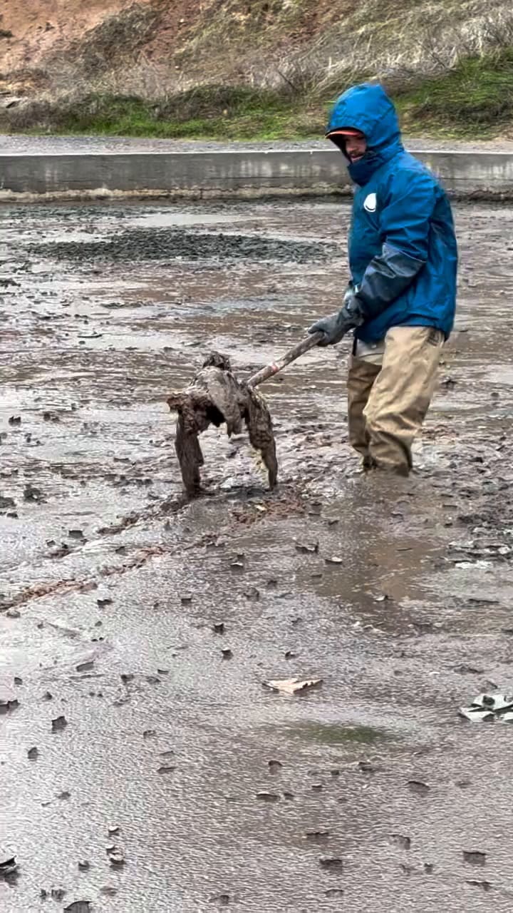 AQP3tZRmR7LT-EvN8FA4k3luFOytdmhwn MmCtF7Dnje PN7SF7F4RksvMs7ZNaJA13zcnWcXf25vqEsaIR63aE0