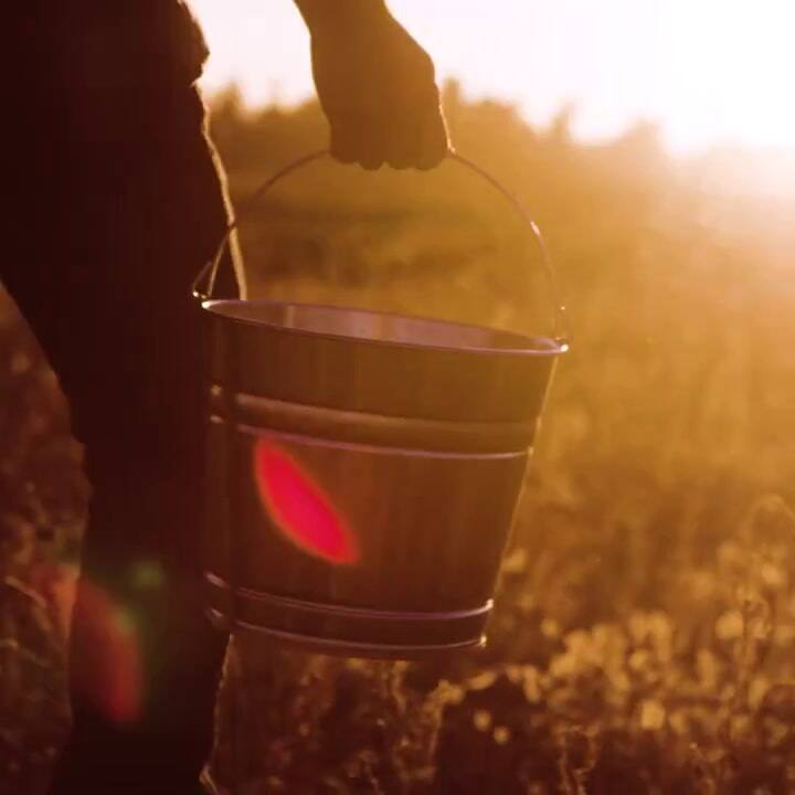 Bobby Pulido lanzó su candidatura para el Congreso