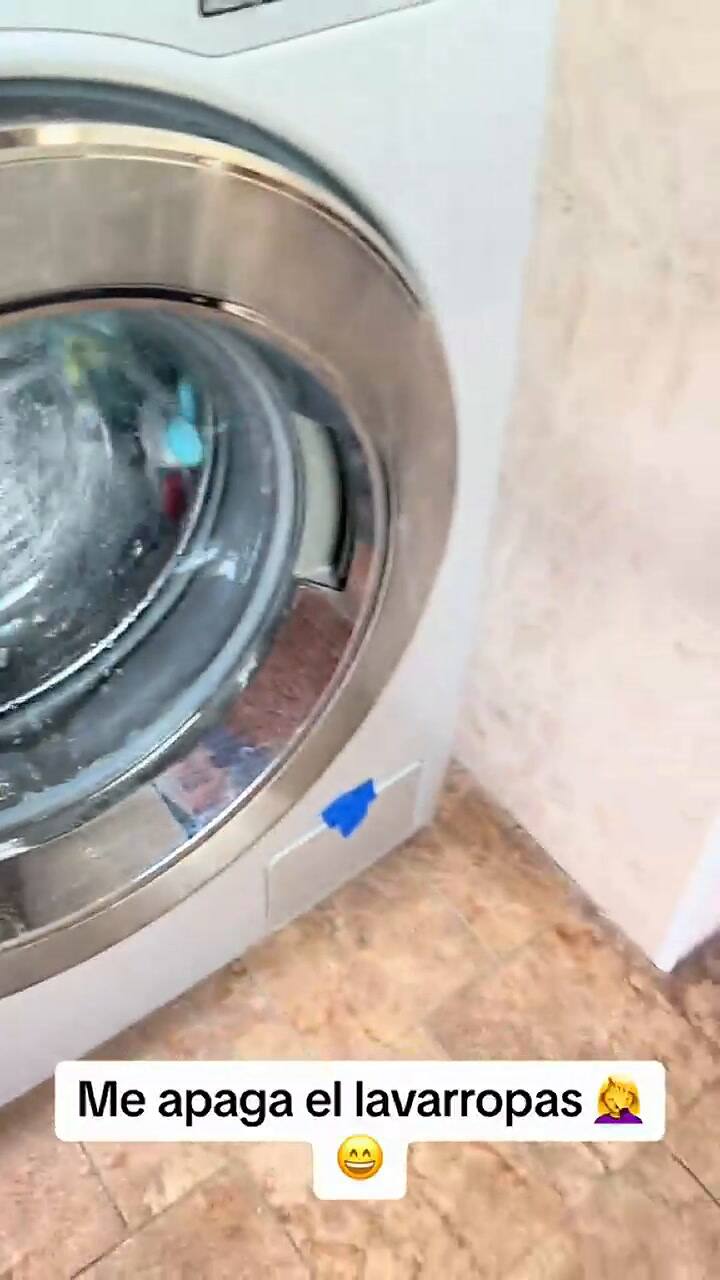 La picardía que demostró tener el perro y que se viralizó en TikTok