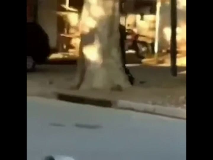 Pánico en un barrio de Tres de Febrero por un 'ninja' suelto