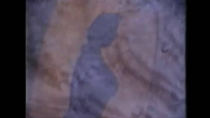 Lia Crucet En tu pelo