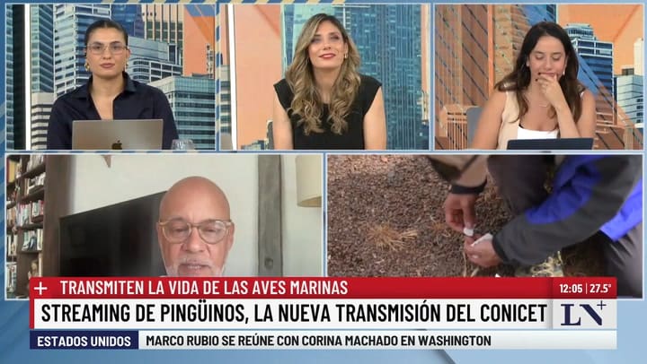 Flavio Quintana, investigador superior del Conicet