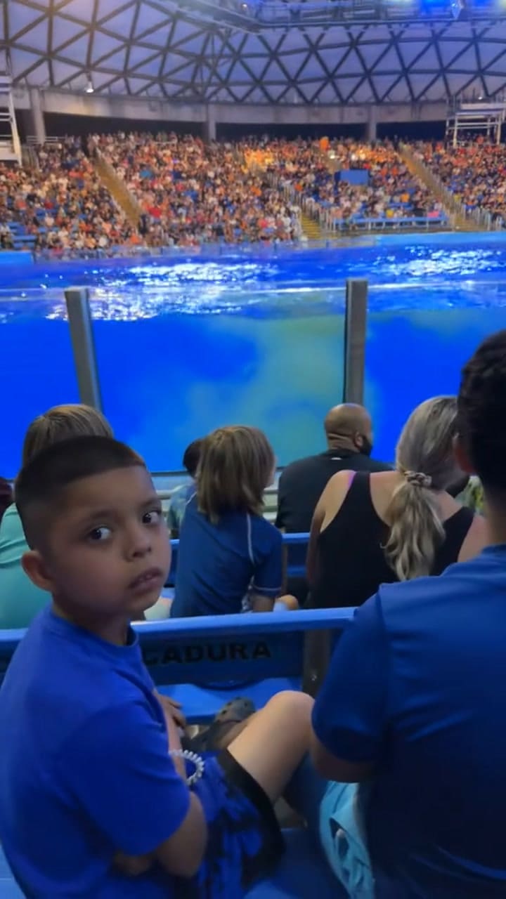 Una orca de SeaWorld San Antonio defecó dentro de la pileta y expulsó el agua contaminada sobre su audiencia