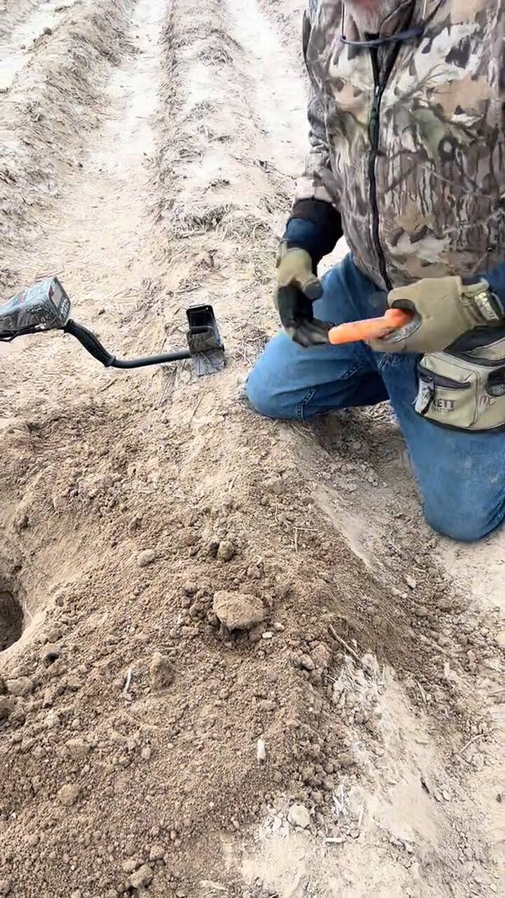 Crow Encuentra La Moneda