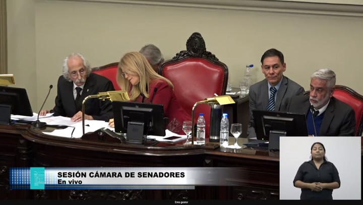 Magario: "Mi voto es positivo"