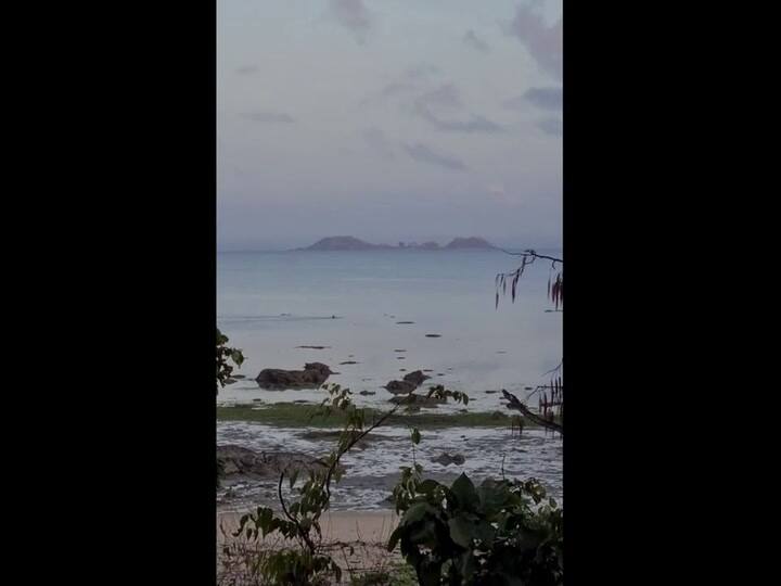 La desesperante huida de un perro perseguido por un cocodrilo salvaje - Fuente: Youtube